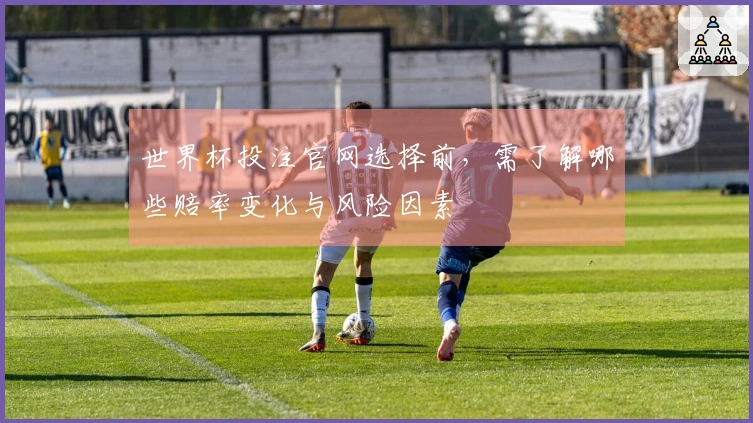 世界杯投注官网选择前，需了解哪些赔率变化与风险因素
