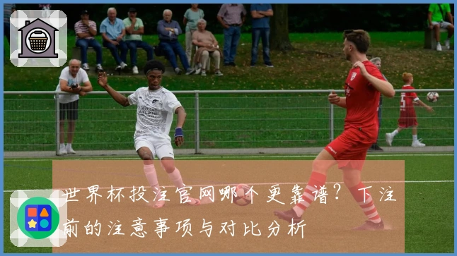 世界杯投注官网哪个更靠谱？下注前的注意事项与对比分析
